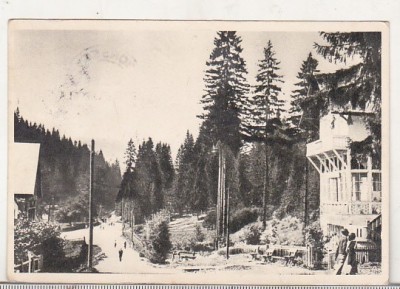 bnk cp Borsec - Spre izvoare - uzata 1955 - Libraria noastra foto