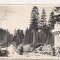 bnk cp Borsec - Spre izvoare - uzata 1955 - Libraria noastra