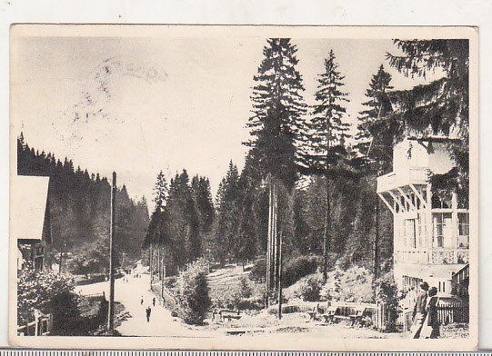 bnk cp Borsec - Spre izvoare - uzata 1955 - Libraria noastra