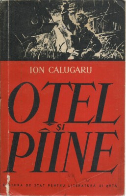 AS* - CALUGARU ION - OTEL SI PIINE foto
