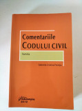 Comentariile Codului civil. Familia - Gabriela Cristina Frentiu