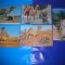 HOPCT LOT NR 417 CAMILA/CAMILE-FAUNA -5 CARTI POSTALE-NECIRCULATE