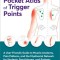 The Pocket Atlas of Trigger Points: A User-Friendly Guide to Muscle Anatomy, Pain Patterns, and the Myofascial Netw Ork for Students, Practitioners, a