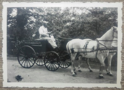 Barbat cu trasura trasa de cai albi/ foto Romania interbelica foto