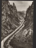 CPIB 22003 - CARTE POSTALA - DEFILEUL DAMBOVICIOAREI, Circulata, Fotografie