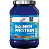 Pudra Proteica + Creatina cu Aroma de Ciocolata Gainer Protein 2kg