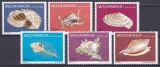 DB1 Fauna Marina Melci Scoici 1980 Mozambic 6 v. MNH