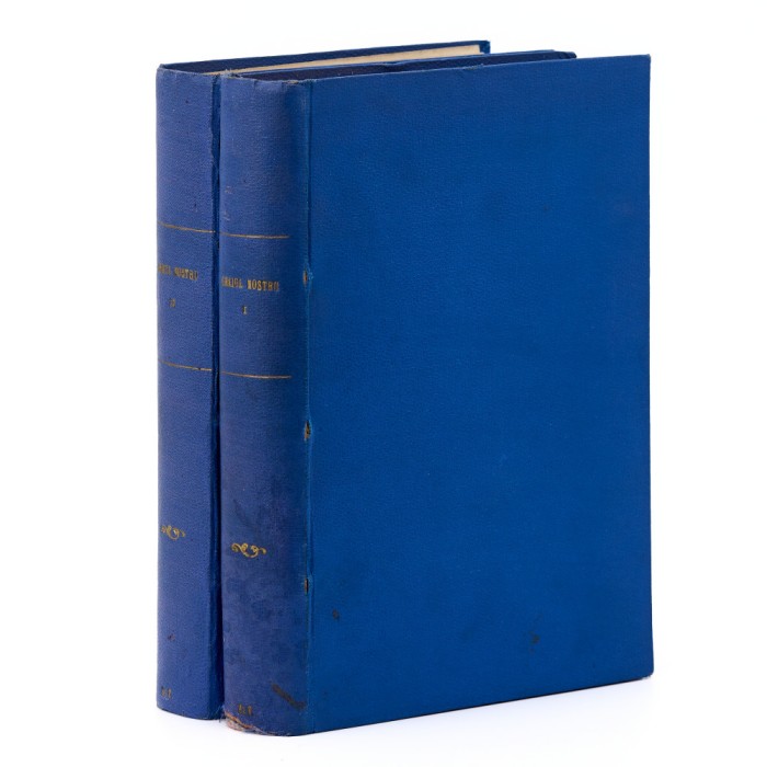 I. A. Candrea, Ov. Densușianu, Th. D. Speranția, Graiul nostru, două volume, colligat cu Ov. Densușianu, Anuarul seminarului, 1898