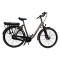 Bicicleta Electrica Stella Livorno Dama FDST RTE 2.0 - 28 Inch, XL, Gri Ultimate FactoryBikes