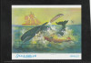 Somalia 1999-Fauna,Balene,Pescuitul balenelor,colita dantelata,MNH,Mi.64, Nestampilat