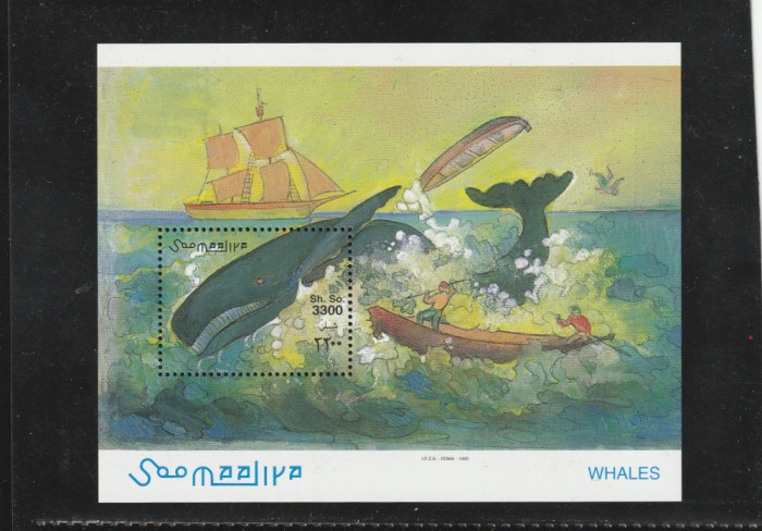 Somalia 1999-Fauna,Balene,Pescuitul balenelor,colita dantelata,MNH,Mi.64