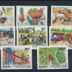 RWANDA 1985 AGRICULTURA ANIMALE DOMESTICE