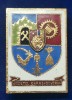 Insigna stema Județul Caraș Severin