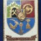 Insigna stema Județul Caraș Severin