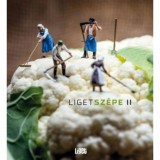 Ligetsz&eacute;pe 2 - &ouml;kol&oacute;giai olvas&oacute;k&ouml;nyv