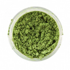 Pulbere iridiscenta sclipici Snazaroo GREEN 12ml foto