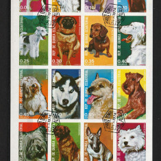 Guineea Ec., 1979 | Rase de câini - Animale domestice | Minisheet NDT. | aph