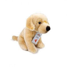 Jucarie plus Catel Labrador Retriever foto