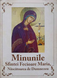 MINUNILE SFINTEI FECIOARE MARIA, NASCATOAREA DE DUMNEZEU-NECUNOSCUT