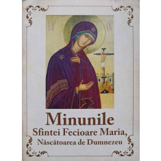 MINUNILE SFINTEI FECIOARE MARIA, NASCATOAREA DE DUMNEZEU-NECUNOSCUT