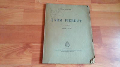 TARM PIERDUT-ION PILLAT foto