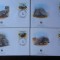 Mali-WWF,FDC fauna-set complet