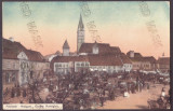 5359 - MEDIAS, Sibiu, Market, Romania - old postcard - used, Circulata, Printata