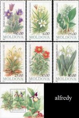 MOLDOVA 1993, Flora, serie neuzată, MNH