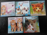 Sao Tome si Principe-Fauna ,pisici-serie completa ,MNH, Nestampilat