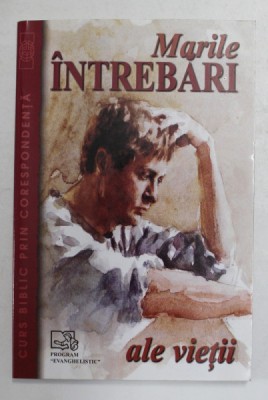 MARILE INTREBARI ALE VIETII , 2004 foto