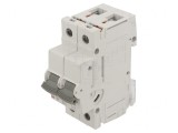 &Icirc;ntrerupător de supracurent 6A 2 Poli 230/400VAC 10kA