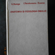 V. RANGA, I. TEODORESCU EXARCU - ANATOMIA SI FIZIOLOGIA OMULUI (1970, cartonata)