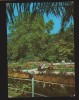 CPIB 19829 CARTE POSTALA - BUZIAS. PARCUL BAILOR, Circulata, Fotografie