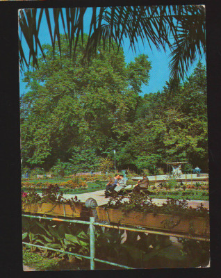 CPIB 19829 CARTE POSTALA - BUZIAS. PARCUL BAILOR foto