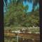 CPIB 19829 CARTE POSTALA - BUZIAS. PARCUL BAILOR