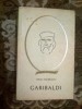 A3b Garibaldi - Mircea Padureleanu