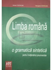 Adrian Costache - Limba romana - O gramatica sintetica pentru invatamantul preuniversitar (Editia: 2008) foto