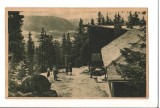 CPI B 11119 CARTE POSTALA - POSTAVARUL. VEDERE SPRE PIATRA CRAIULUI, Circulata, Fotografie