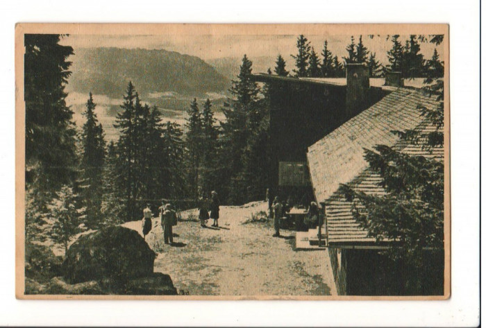 CPI B 11119 CARTE POSTALA - POSTAVARUL. VEDERE SPRE PIATRA CRAIULUI