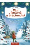 Mica fantoma a Craciunului. O poveste de Craciun in 24 de capitole - Tobias Goldfarb