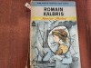 Romain Kalbris - Hector Malot, 1991, Ed. Ion Creanga, Colectia BPT nr.87, 163 pagini, Roman