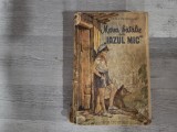 Marea batalie de la "Iazul Mic" de Octav Pancu-Iasi