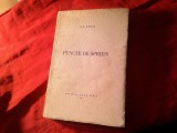 DD Rosca - Puncte de sprijin - Ed. Tara Sibiu 1943 , 267 pag - uzata