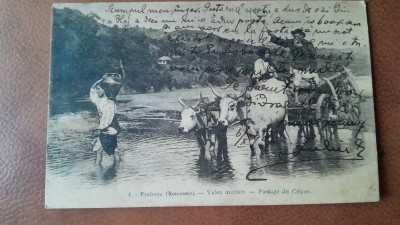 Carte postala, Prahova Valea Mieilor Pasajul Cricov, 1907 foto