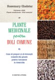 Plante medicinale pentru boli comune, Litera
