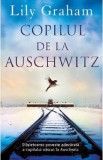 Copilul de la Auschwitz - Lily Graham