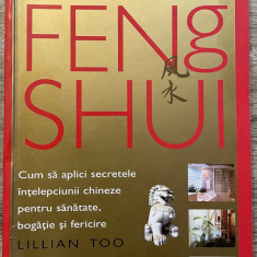 GHIDUL PRACTIC ILUSTRAT DE FENG SHUI de LILLIAN TOO , 2005