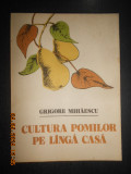 Grigore Mihaescu - Cultura pomilor pe langa casa