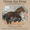 Cocoa the Pony: Found His Path