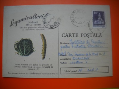 HOPCT 448 R LEGUMICULTORI-COMBATETI BUHA VERZEI--1976-CARTE POSTALA -BULETIN AVERTIZARE -MINISTERUL AGRICULTURII-CIRCULATA foto